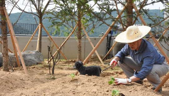 문재인 전 대통령과 평산마을 비서실이 사회관계망서비스(SNS)를 통해 20일 문 전 대통령이 경남 양산시 하북면 평산마을 사저에서 밭일하는 모습을 공개했다.<문 전 대통령 페이스북 캡처>